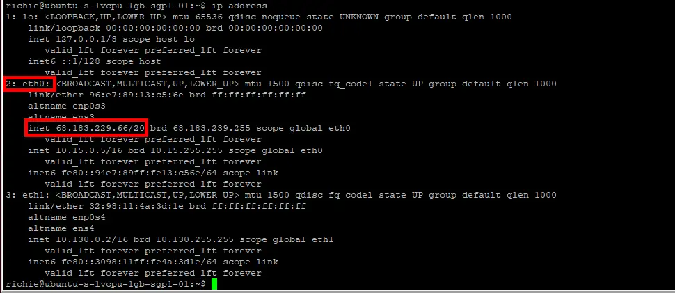 Find your servers IP address