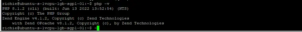 Check PHP version